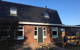Lowlander Bnb